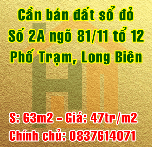 Bán đất số 2A ngõ 81/11 tổ 12 Phố Trạm, Phường Long Biên, Quận Long Biên 11147064
