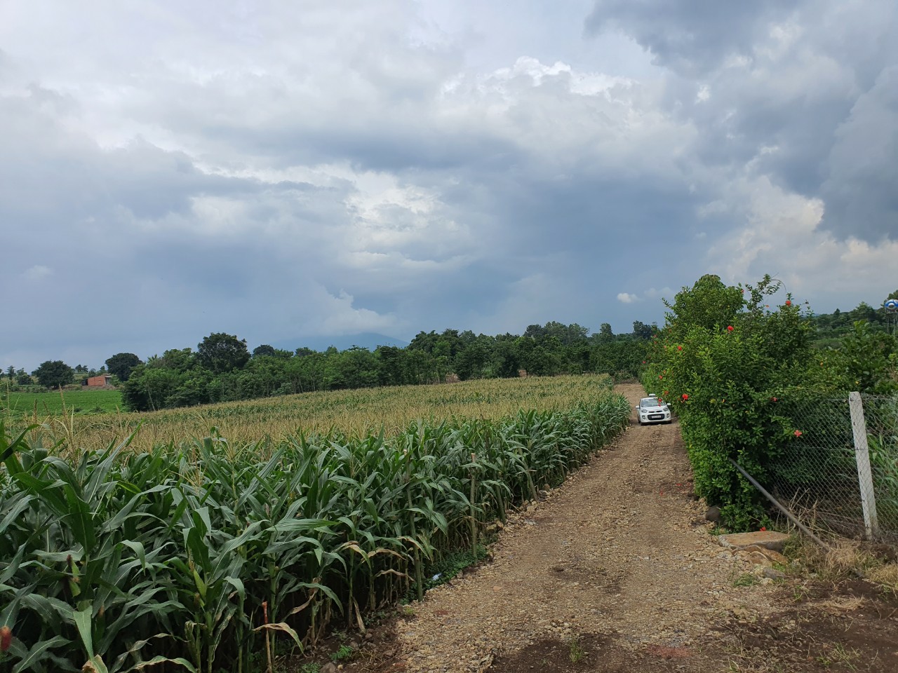Bán đất chính chủ tại Ấp 5, Xã Xuân Tây, Huyện Cẩm Mỹ, Tỉnh Đồng Nai. Giá đầu tư 11153638