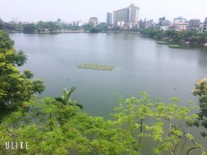 Sang nhượng hoặc cho thuê mặt bằng - Quán cafe, Trà sữa, Nhà hàng tại 80 trấn vũ - Mặt hồ Trúc Bạch 11167293