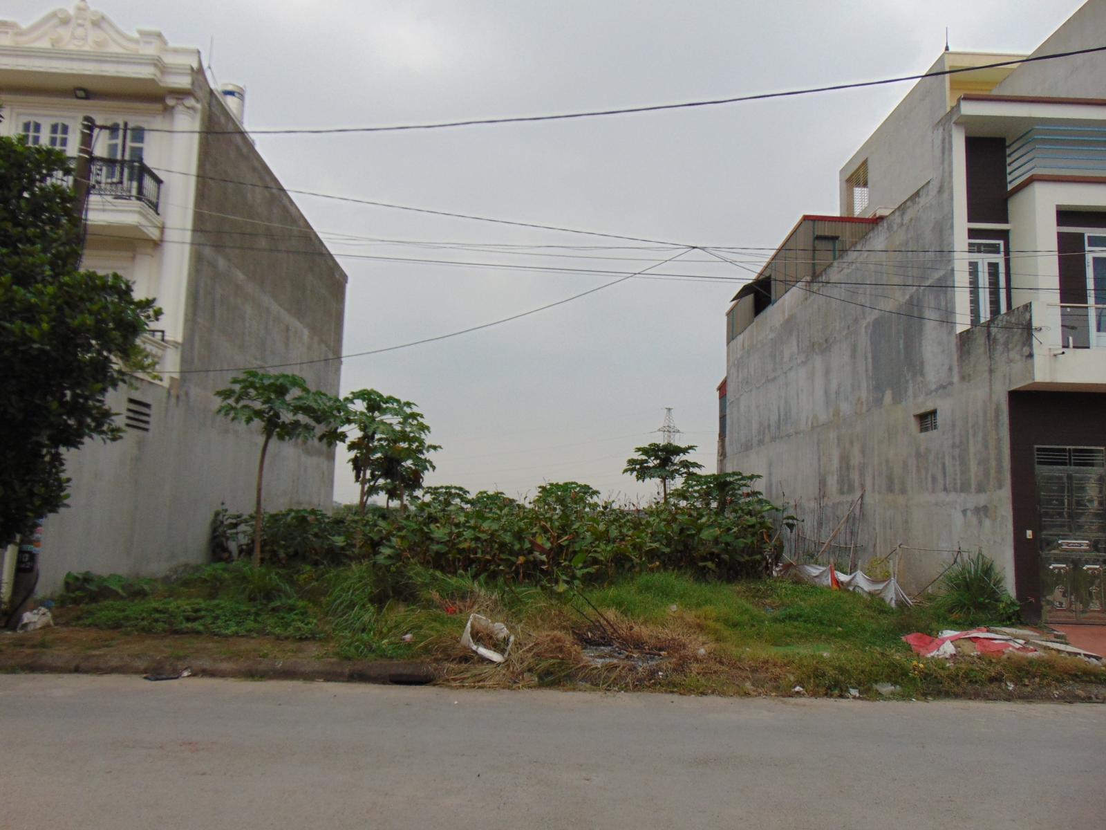 Cần bán lô đất thuộc khu dân cư Hoàng Mai, xã Đồng Thái , huyện An Dương, thành phố Hải Phòng 11171790