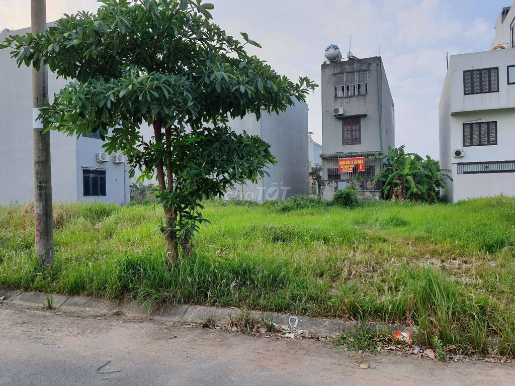 Bán Đất 95m² gần trường truyền thanh khu Xã Lam Hạ - Thành Phố Phủ Lý - Hà Nam 11180136