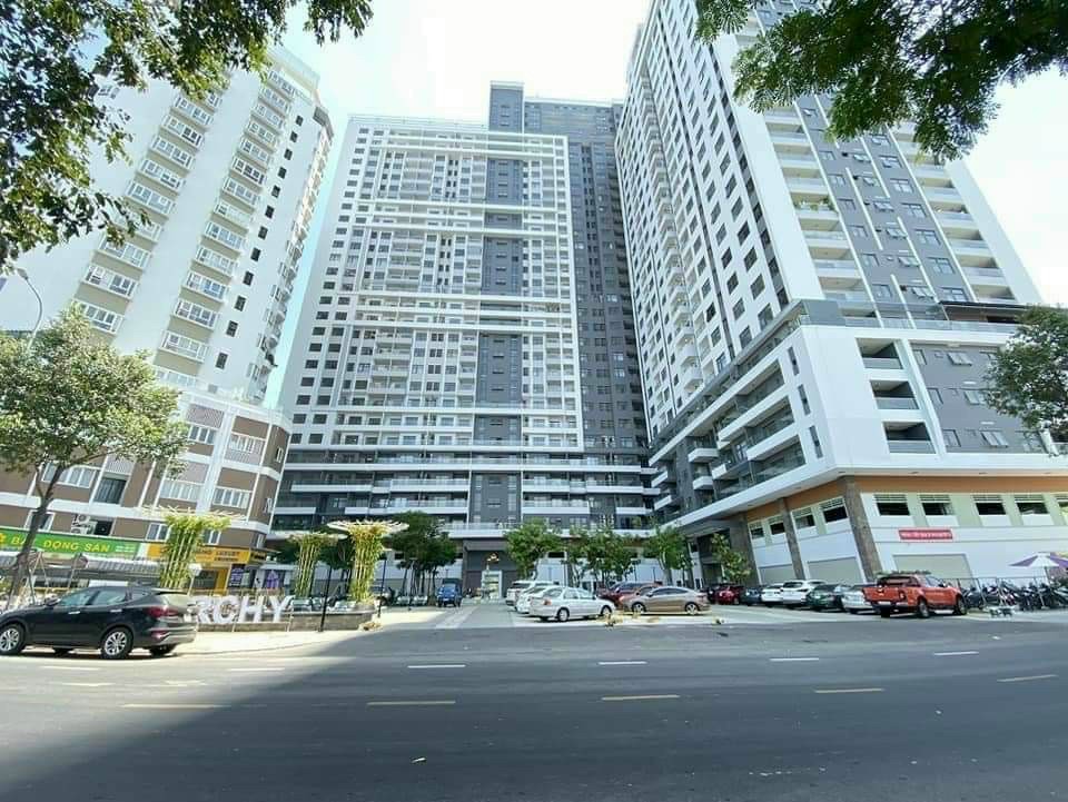 APARTMENT FOR RENT IN DANANG MORNACHY B 11181184