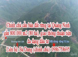 Chính chủ cần bán đất rừng tại Quảng Ninh gần 800.000 m2 (80 ha), giao thông thuận tiện, đa dạng 11184491