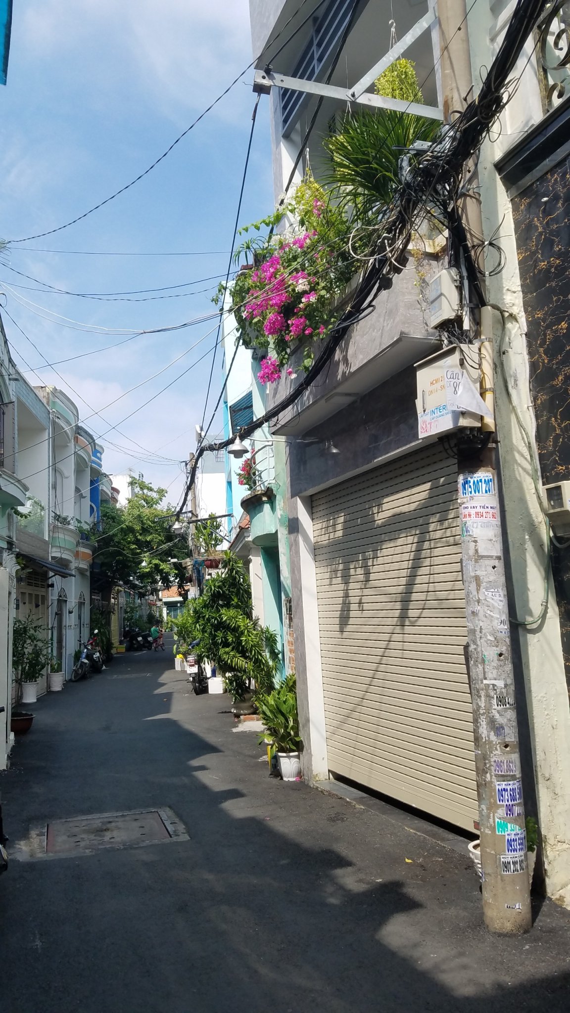 Chính Chủ Cần Bán 2 Căn Nhà Tại Phường 8 - Gò Gấp - Hồ Chí Minh . 11186653