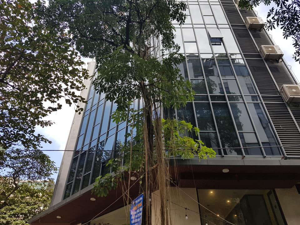Bán nhà mặt phố Trần Quang Diệu, 70m, 7 tầng thang máy, giá 29 tỷ. 11201295