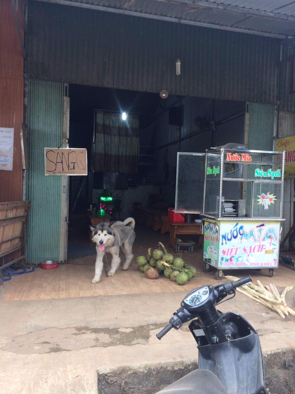 CẦN SANG NHƯỢNG LẠI QUÁN CÀPHÊ LÀNG VẠN THÀNH PHƯỜNG 5 THÀNH PHỐ ĐÀ LẠT TỈNH LÂM ĐỒNG. 11213452