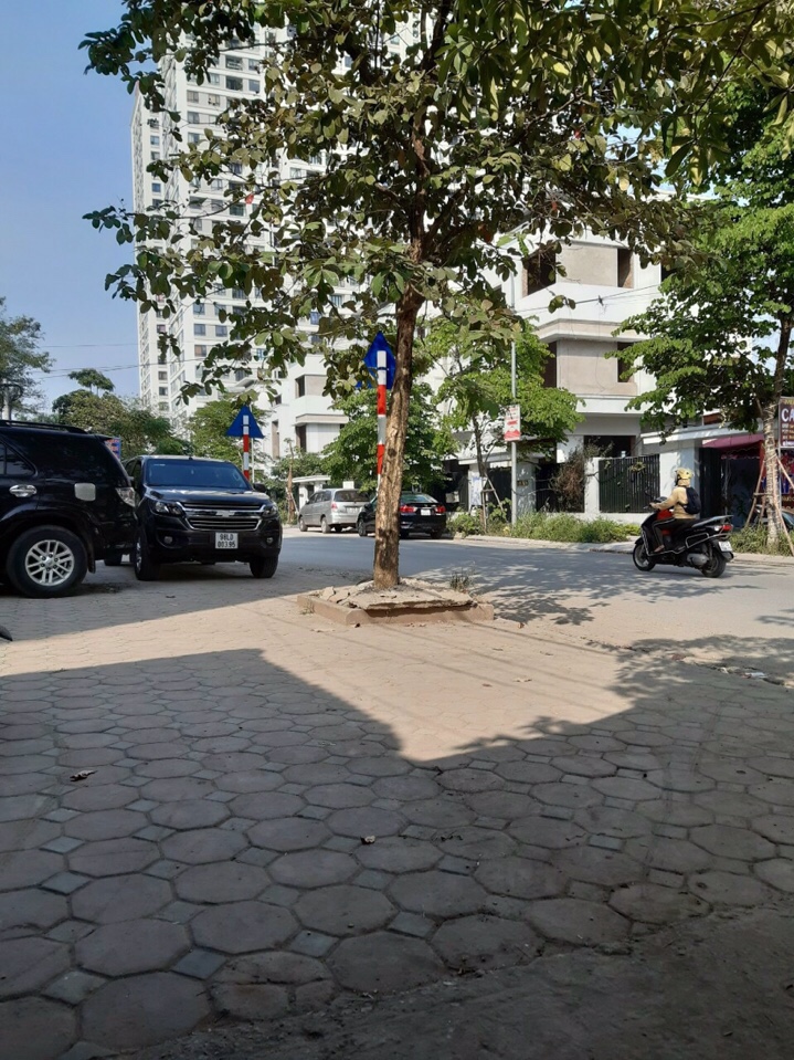 BÁN ĐẤT PHÂN LÔ, LIỀN KỀ CHÍNH CHỦ XUÂN ĐỈNH, BẮC TỪ LIÊM, HÀ NỘI 11214719