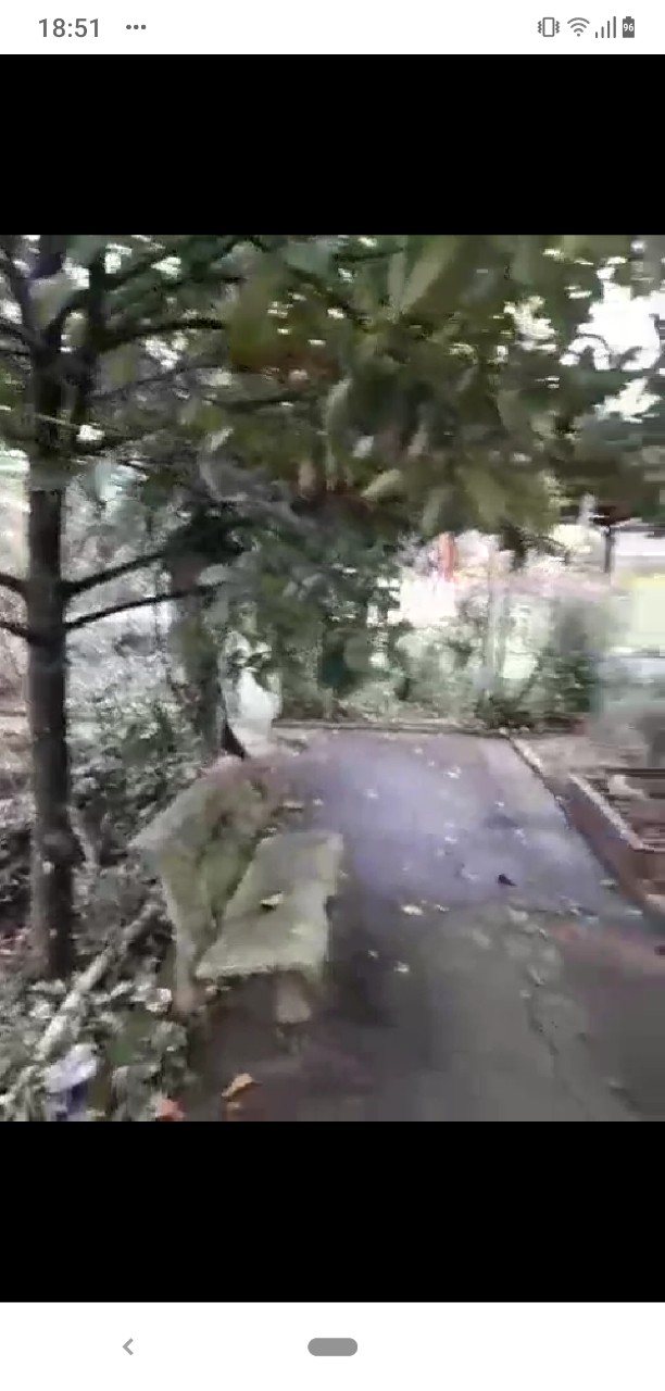 CHÍNH CHỦ CẦN BÁN ĐẤT VƯỜN ĐẸP 1.000 M2 TẠI BẾN TRE 11219868