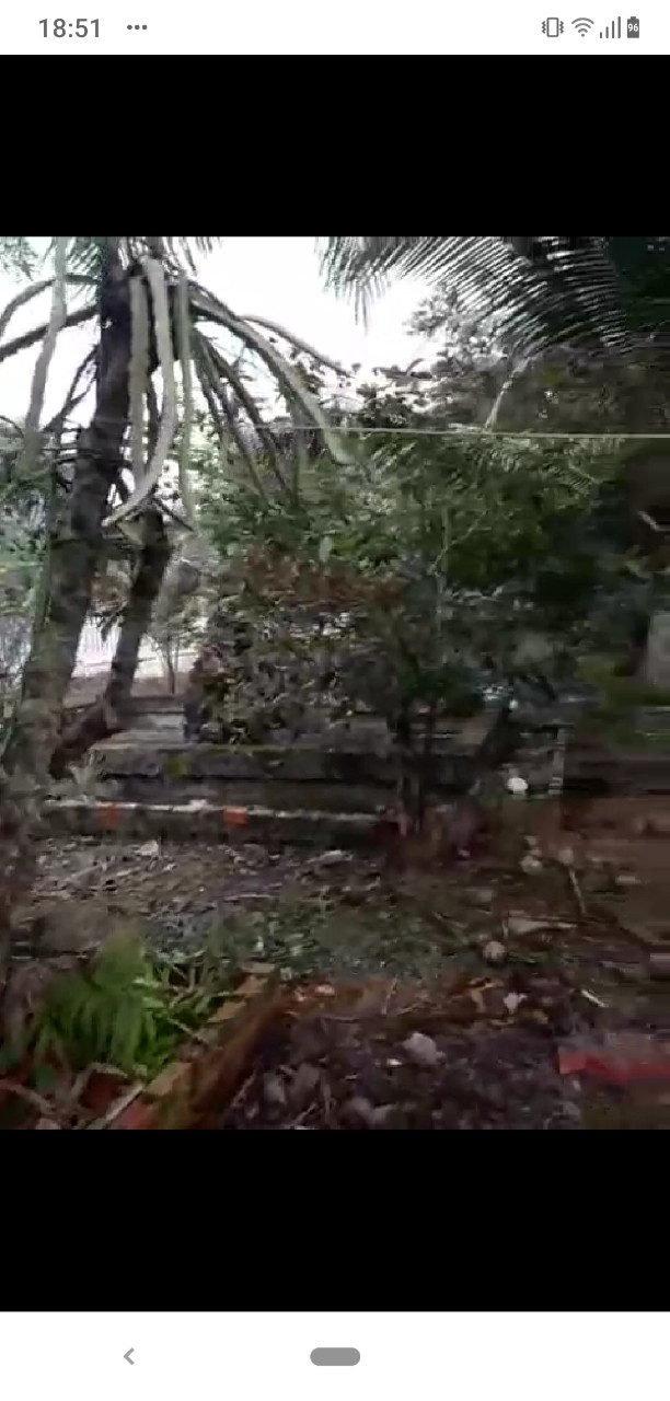 CHÍNH CHỦ CẦN BÁN ĐẤT VƯỜN ĐẸP 1.000 M2 TẠI BẾN TRE 11219868