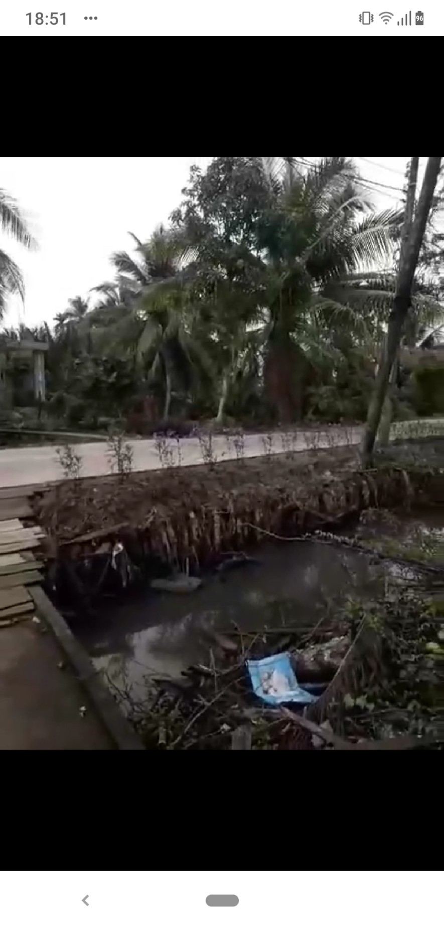 CHÍNH CHỦ CẦN BÁN ĐẤT VƯỜN ĐẸP 1.000 M2 TẠI BẾN TRE 11219868