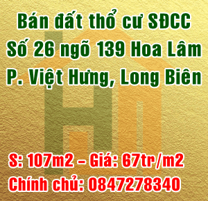 
Chính chủ bán đất số 26 ngõ 139 Hoa Lâm, Phường Việt Hưng, Quận Long Biên 11220689