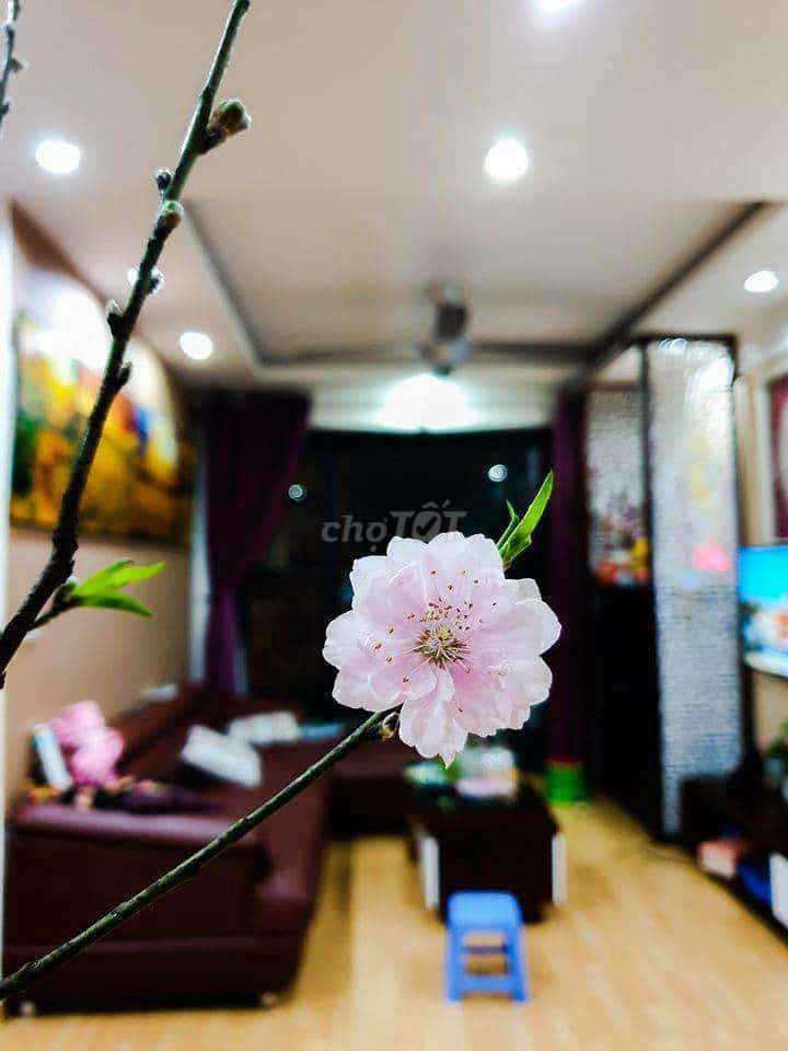 Em cần bán căn hộ 3 phòng ngủ to nhất và đẹp nhất khu Chung cư Green Stars 11224945