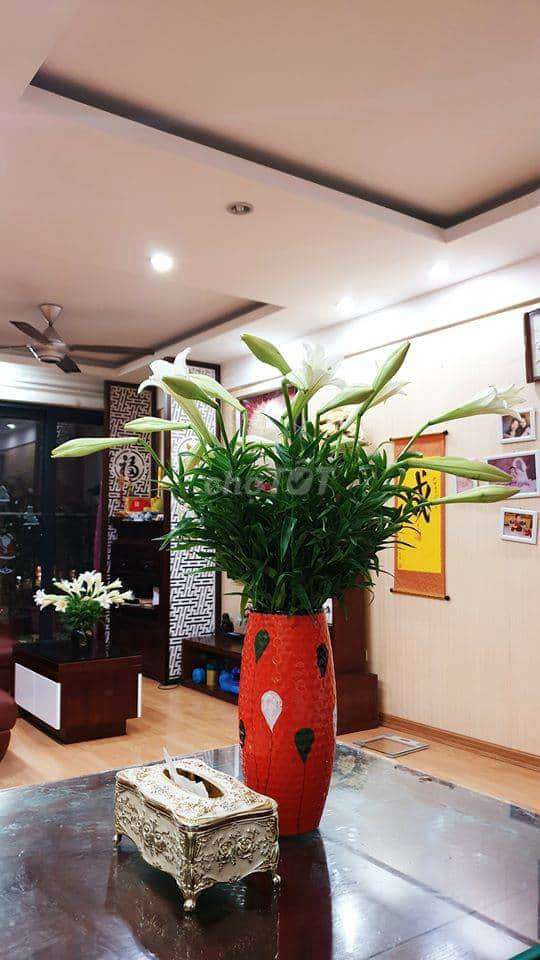 Em cần bán căn hộ 3 phòng ngủ to nhất và đẹp nhất khu Chung cư Green Stars 11224945