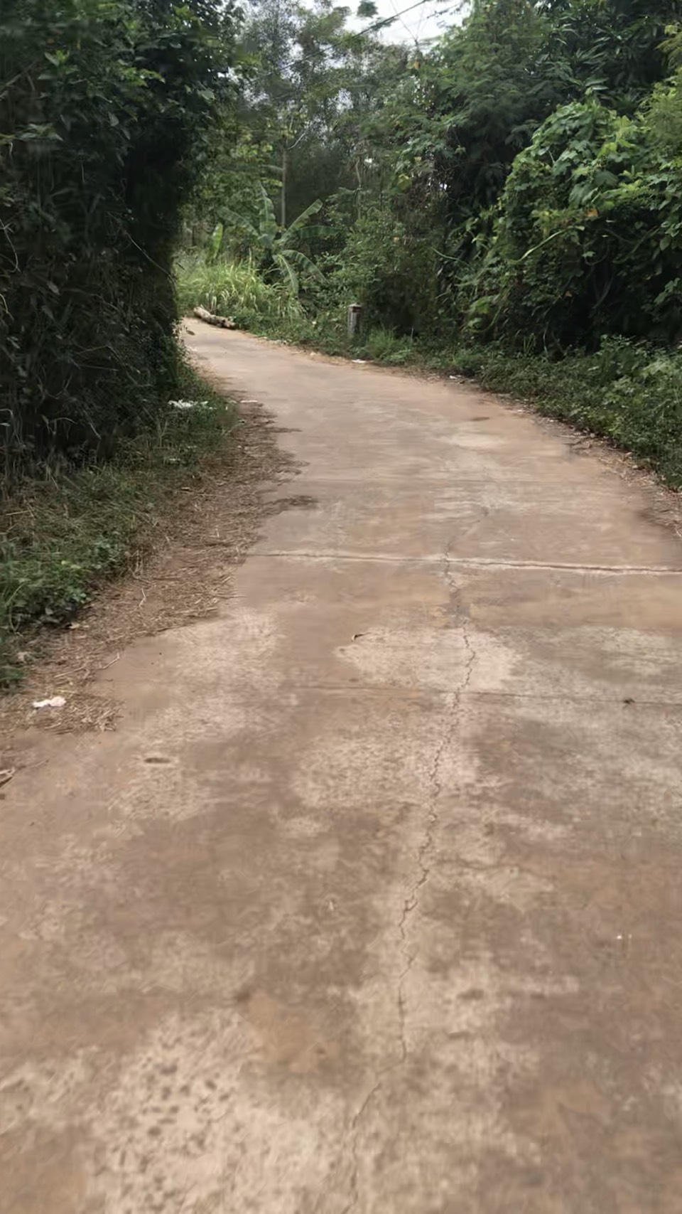 BÁN ĐẤT Ở PHÚ MỸ, PHƯỜNG XUÂN LẬP, TP. LONG KHÁNH, ĐỒNG NAI 11239959