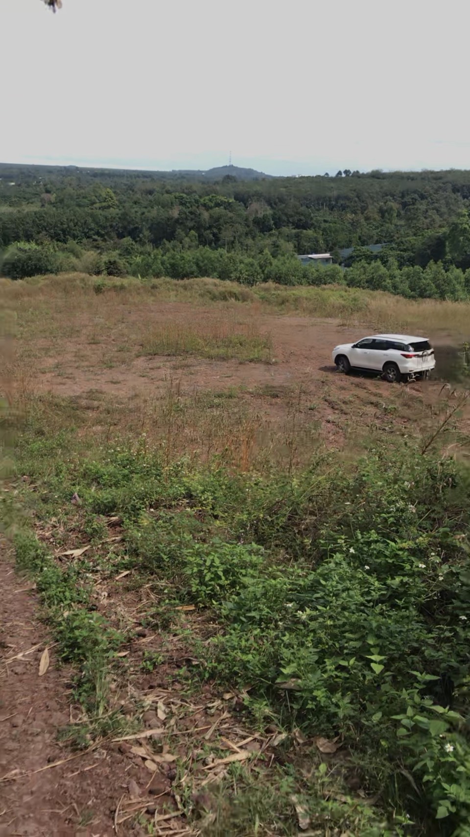 BÁN ĐẤT Ở PHÚ MỸ, PHƯỜNG XUÂN LẬP, TP. LONG KHÁNH, ĐỒNG NAI 11239959