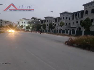 Chính chủ bán biệt thự bidv Nam An Khánh - Huyện Hoài Đức - Hà Nội 11241813