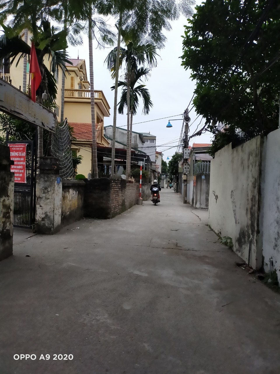 BÁN 271M2 ĐẤT Ở TỔ 19 THƯỢNG THANH, LONG BIÊN, HÀ NỘI 11243107