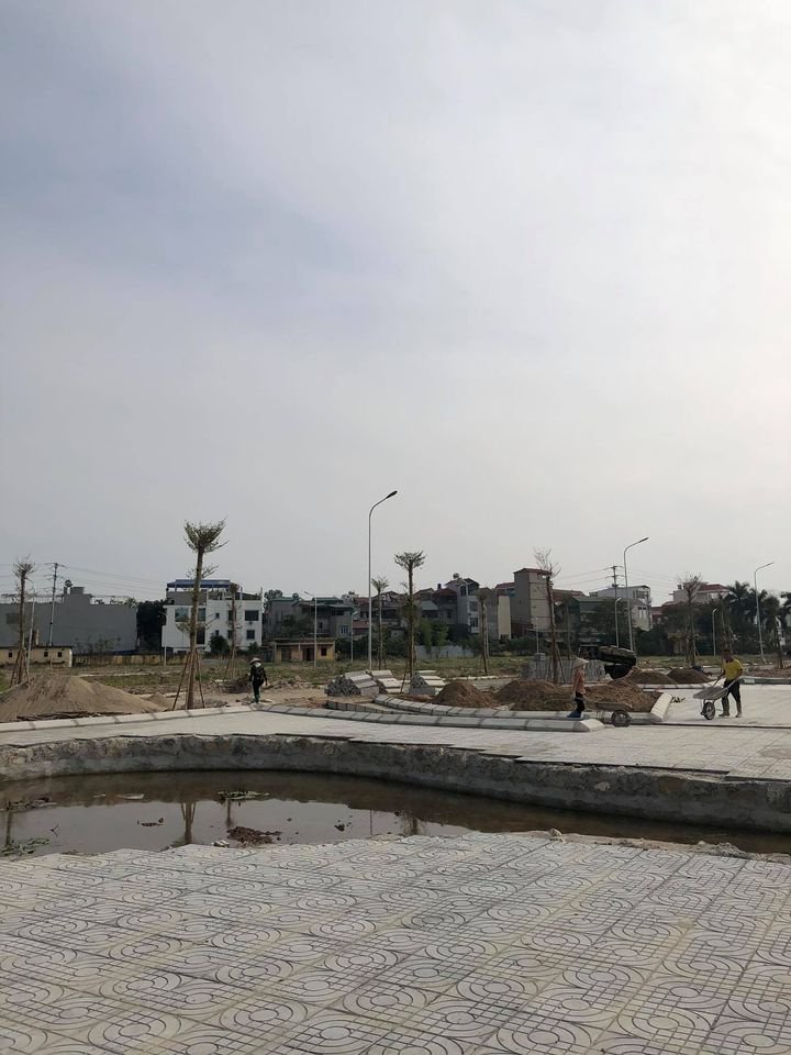 DỰ ÁN NHƯ QUỲNH 102 11250839