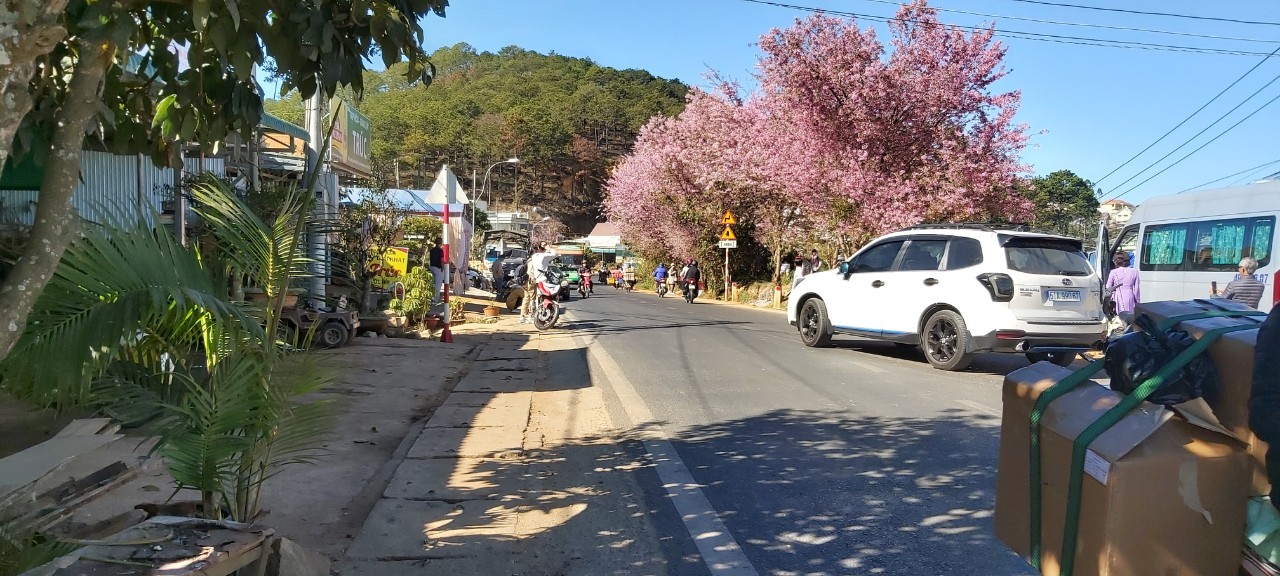 Chính Chủ Cần Bán Đất Nền Đẹp Tại Xã Xuân Thọ - Thành Phố Đà Lạt, Tỉnh Lâm Đồng . 11255739