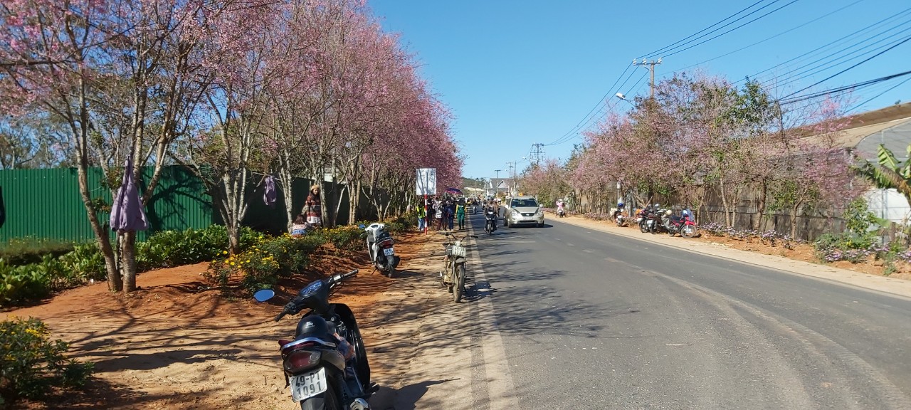 Chính Chủ Cần Bán Đất Nền Đẹp Tại Xã Xuân Thọ - Thành Phố Đà Lạt, Tỉnh Lâm Đồng . 11255739