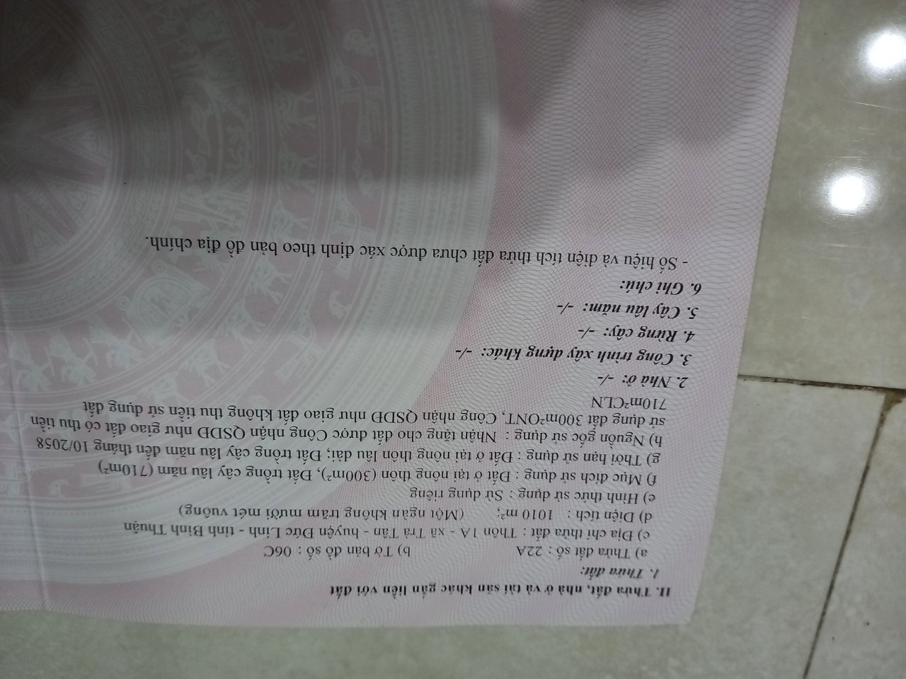 CHÍNH CHỦ CẦN BÁN LÔ ĐẤT THÔN 1A, XÃ TRÀ TÂN. HUYỆN ĐỨC LINH, BÌNH THUẬN 11257679