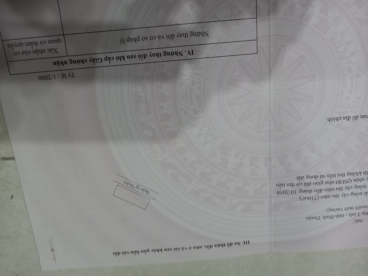 CHÍNH CHỦ CẦN BÁN LÔ ĐẤT THÔN 1A, XÃ TRÀ TÂN. HUYỆN ĐỨC LINH, BÌNH THUẬN 11257679