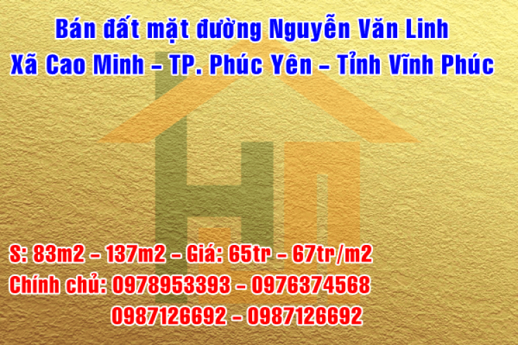 Bán đất mặt đường Nguyễn Văn Linh, Xã Cao Minh, TP. Phúc Yên, Tỉnh Vĩnh Phúc 11258426