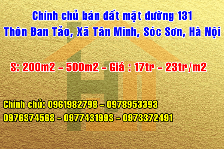 Chính chủ bán đất mặt đường 131 Thôn Đan Tảo, Xã Tân Minh, Sóc Sơn, Hà Nội 11263396