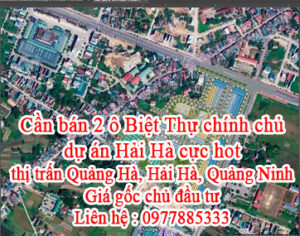 Cần bán 2 ô Biệt Thự chính chủ dự án Hải Hà cực hot. 11267496