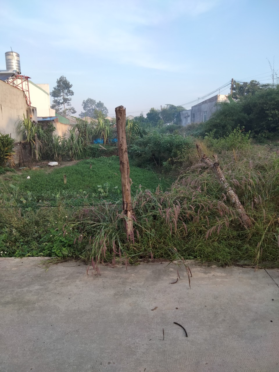 CHÍNH CHỦ CẦN BÁN NHÀ ĐẤT Ở AN PHƯỚC-LONG THÀNH-ĐỒNG NAI 11273397