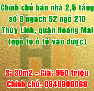  Chính chủ bán nhà số 9 ngách 52 ngõ 210 Thúy Lĩnh, quận Hoàng Mai 11282628