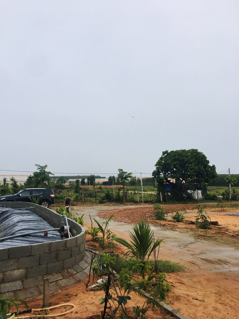 Tôi có lô đất Bắc Bình Farmstay cần bán gấp: 11289419