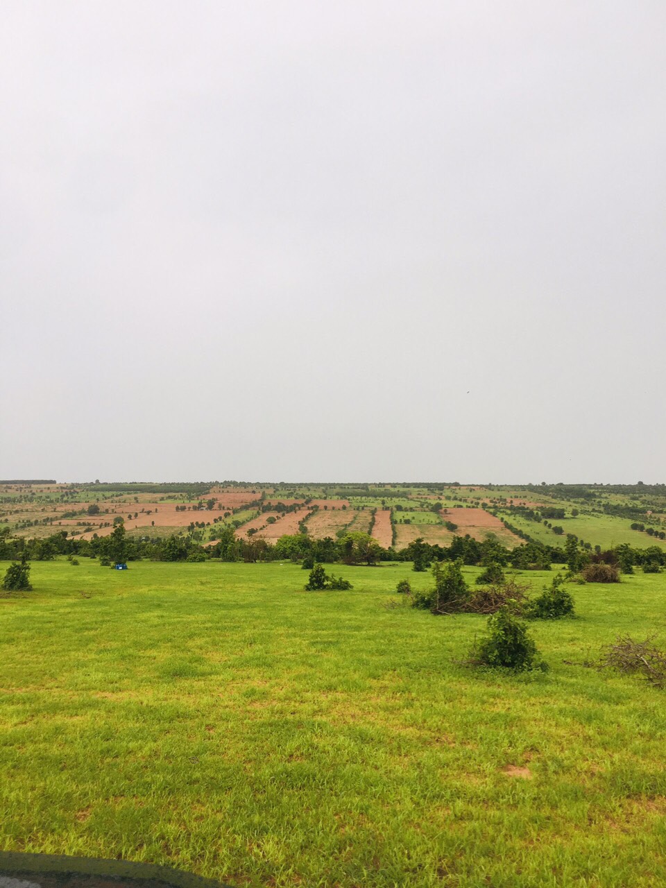 Tôi có lô đất Bắc Bình Farmstay cần bán gấp: 11289419