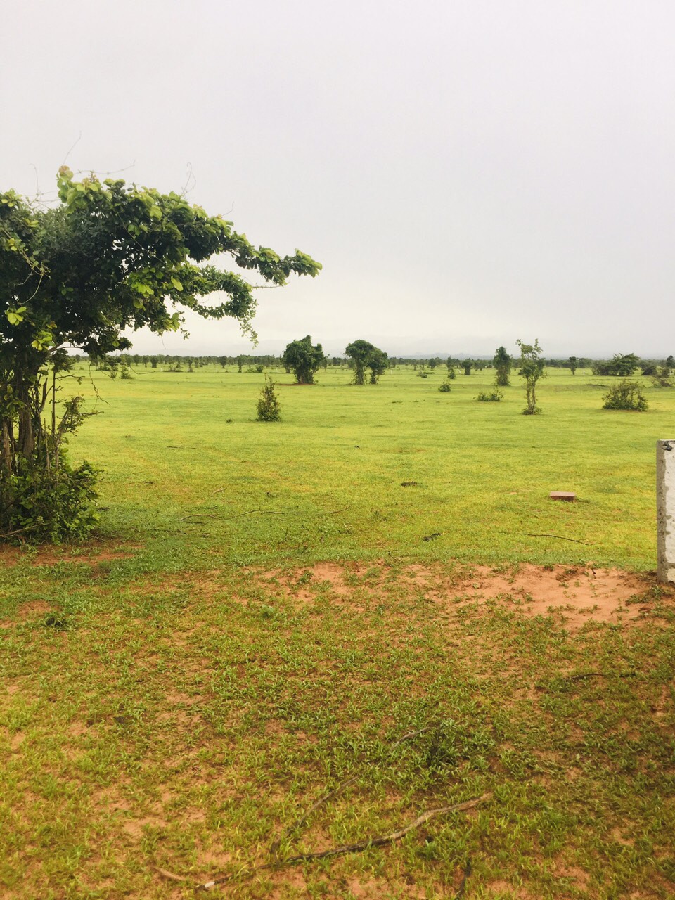 Tôi có lô đất Bắc Bình Farmstay cần bán gấp: 11289419