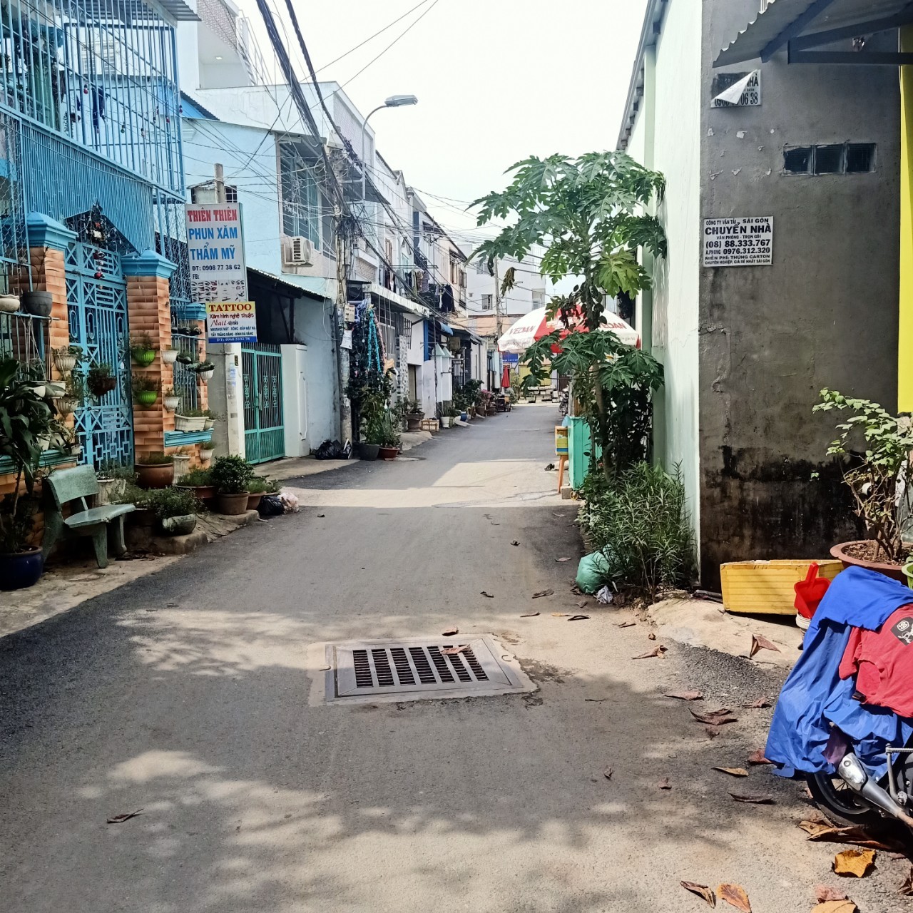 Chính chủ cần bán gấp lô đất hẻm 12 Gò Cát, phường Phú Hữu, Q9, TP. HCM. 11298083