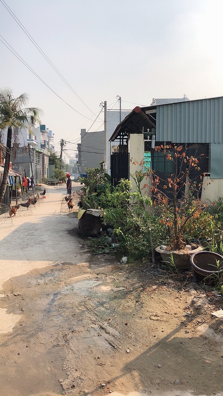 Bán nhà mới xây chưa qua kinh doanh tx48 quận 12, tp HCM 11300034