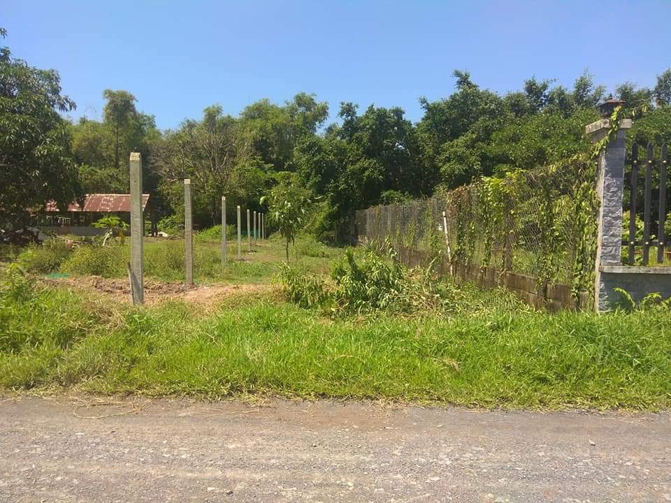 Cần bán gấp nền đất thổ cư. Mặt tiền đường đá xanh 5m. 11308997