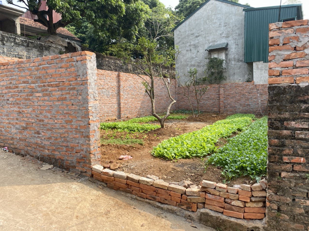 CHÍNH CHỦ CẦN TIỀN BÁN GẤP THỬA ĐẤT PHỤNG CHÂU, CHƯƠNG MỸ, HÀ NỘI 11310088