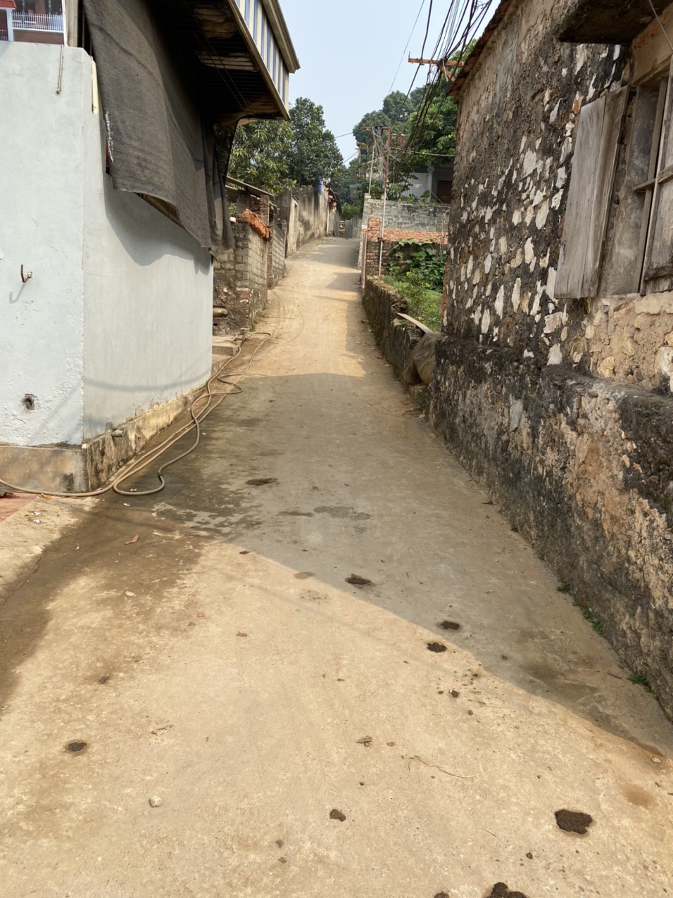 CHÍNH CHỦ CẦN TIỀN BÁN GẤP THỬA ĐẤT PHỤNG CHÂU, CHƯƠNG MỸ, HÀ NỘI 11310088