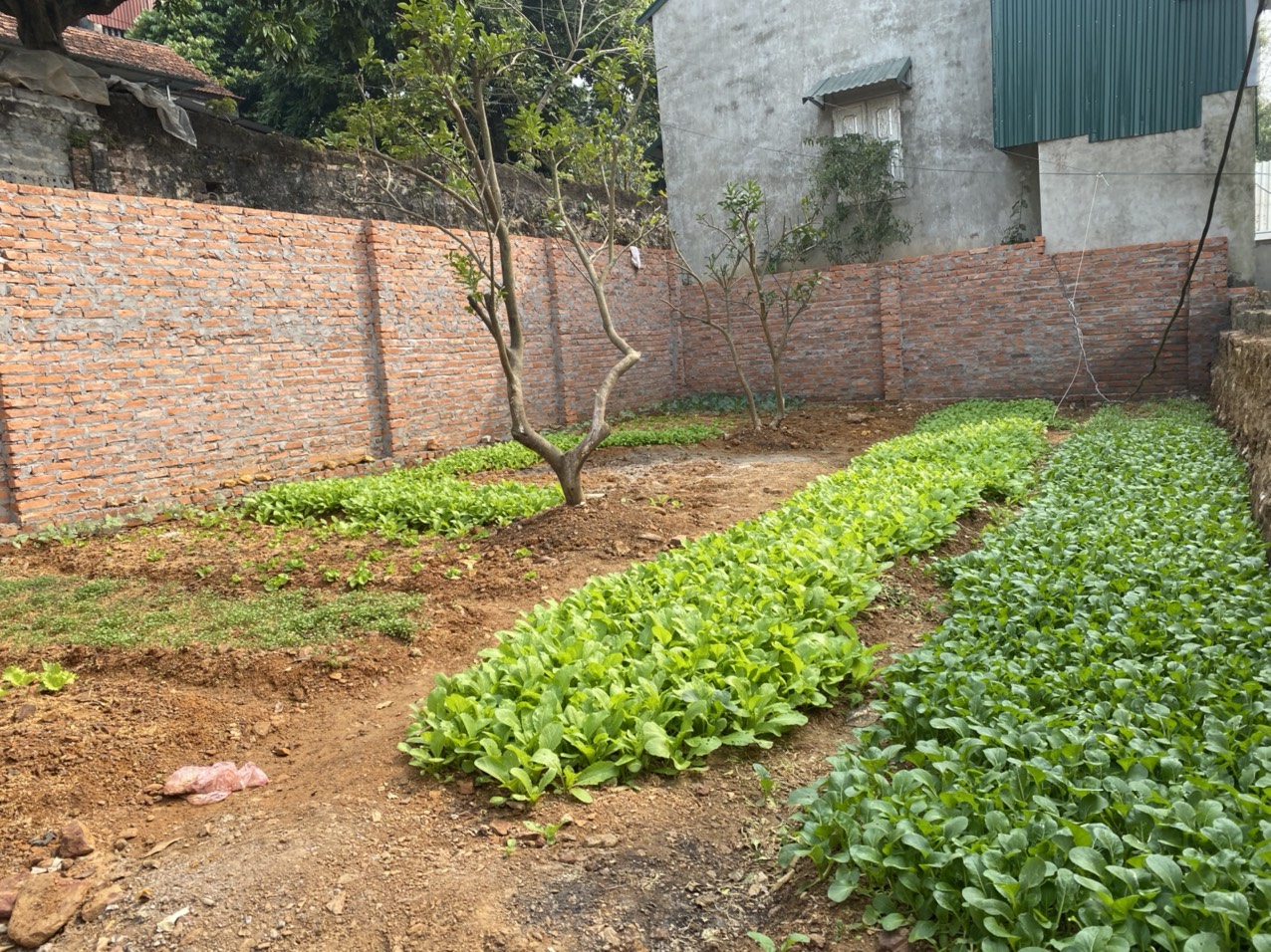 CHÍNH CHỦ CẦN TIỀN BÁN GẤP THỬA ĐẤT PHỤNG CHÂU, CHƯƠNG MỸ, HÀ NỘI 11310088