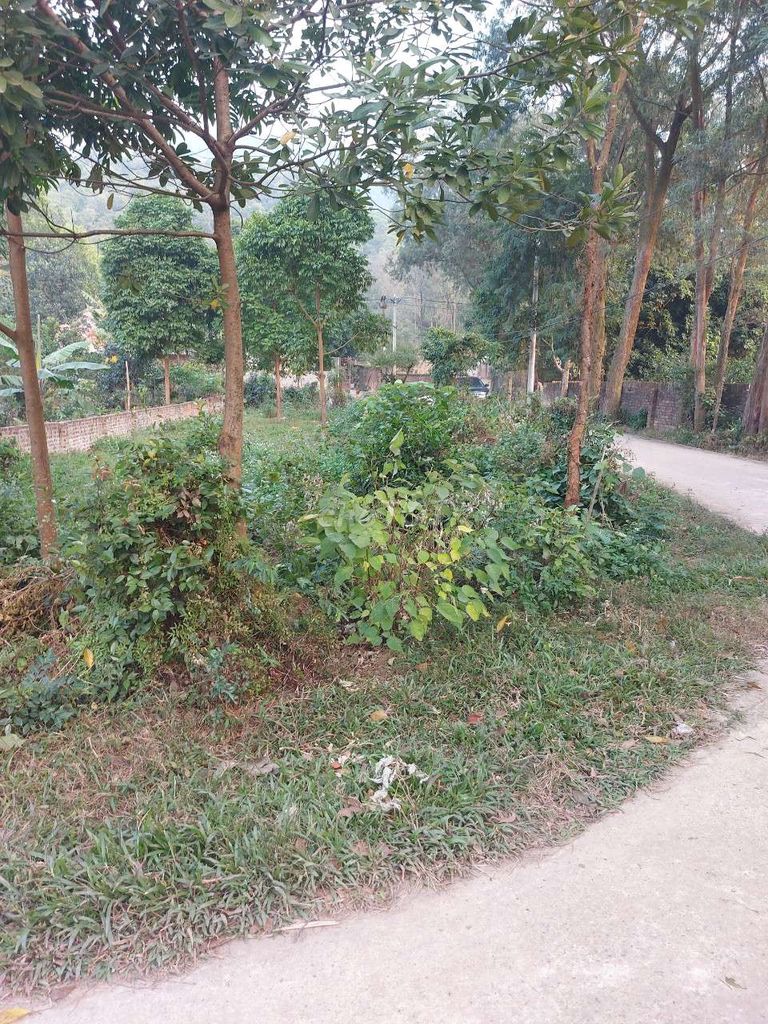 CHÍNH CHỦ BÁN ĐẤT XÃ NAM SƠN, HUYỆN SÓC SƠN, HÀ NỘI 11322360