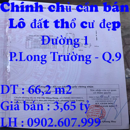 Chính chủ cần bán lô đất thổ cư đẹp Đường 1, Phường Long Trường, Quận 9, Hồ Chí Minh 11344729