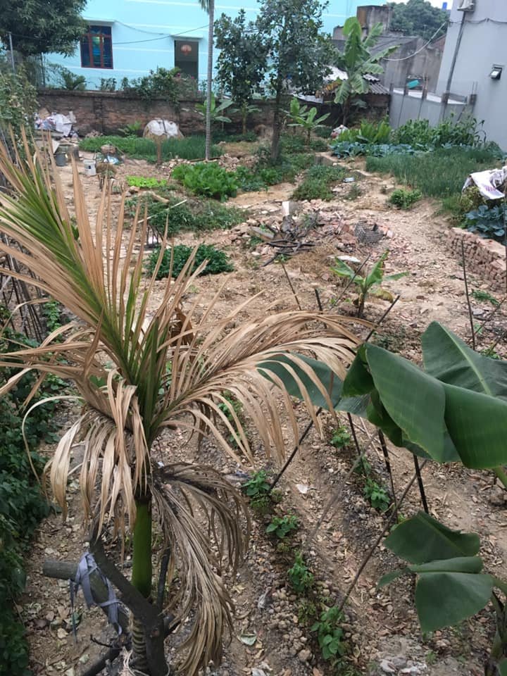 HOT HOT HOT### CẦN BÁN NHANH SẼ ĐƯỢC GIÁ ƯU ĐÃI 11347334