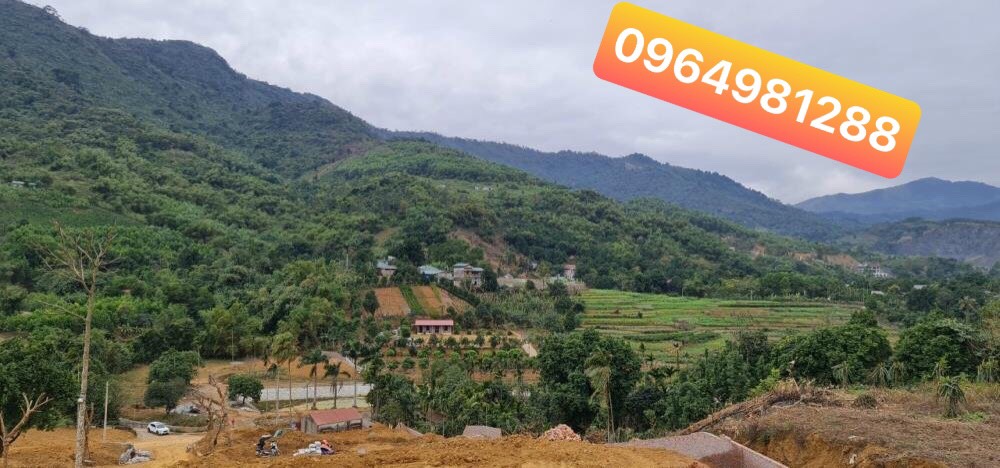 Bán đất mặt trục Phú Mãn rộng 12m, huyện Quốc Oai, HN giá 4tr6/m2. 11348433