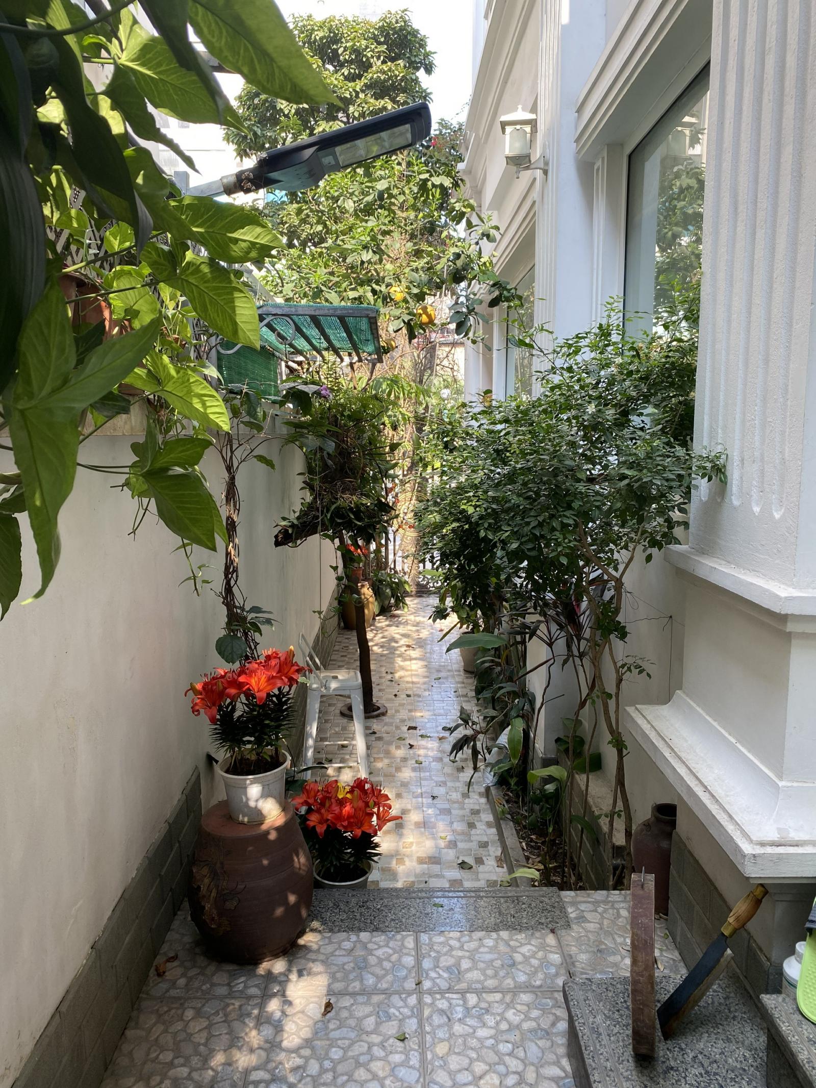 CHÍNH CHỦ BÁN NHÀ VƯỜN KHU HAPULICO - 85 VŨ TRỌNG PHỤNG, THANH XUÂN, HÀ NỘI 11352991