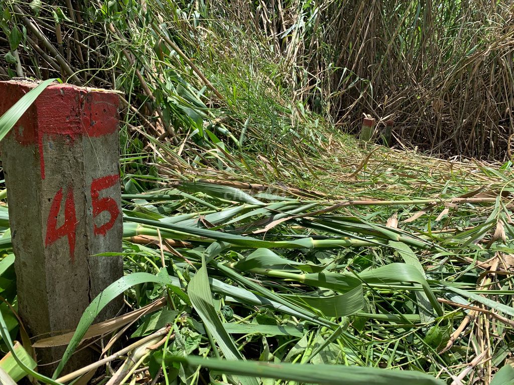 ĐẤT QUẬN CÁI RĂNG 114M² GẦN SIÊU THỊ DỰ MỞ 11358706