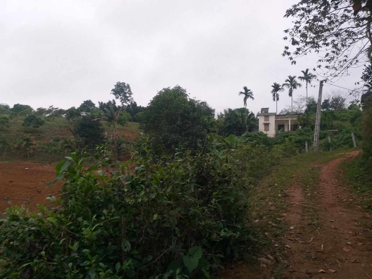 Chính Chủ Cần Bán lô Đất Vườn , Đất Thổ Cư tại Kim Bôi Hòa Bình - Tỉnh Hòa Bình . 11358777