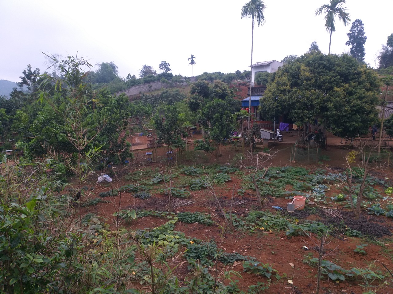 Chính Chủ Cần Bán lô Đất Vườn , Đất Thổ Cư tại Kim Bôi Hòa Bình - Tỉnh Hòa Bình . 11358777