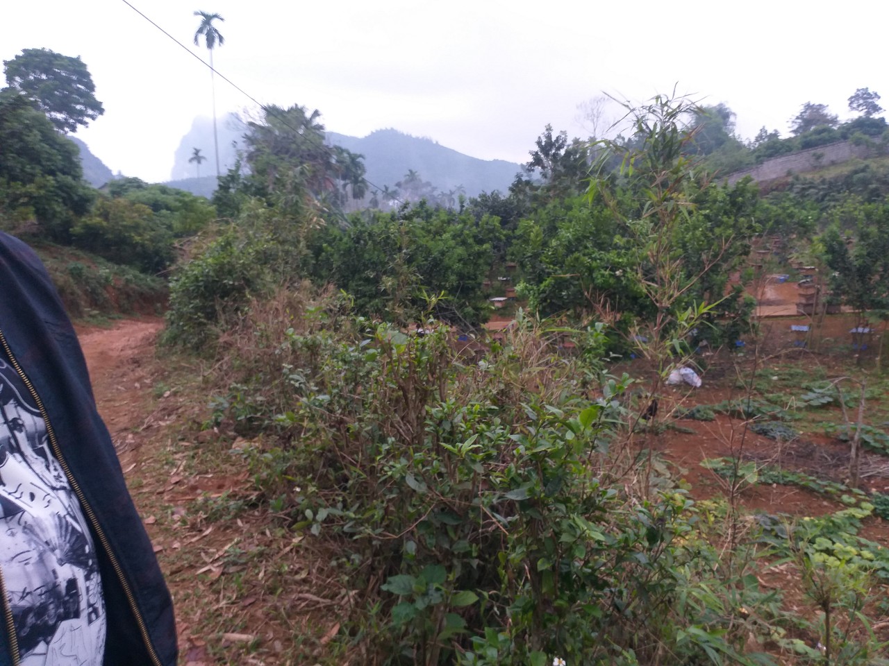 Chính Chủ Cần Bán lô Đất Vườn , Đất Thổ Cư tại Kim Bôi Hòa Bình - Tỉnh Hòa Bình . 11358777