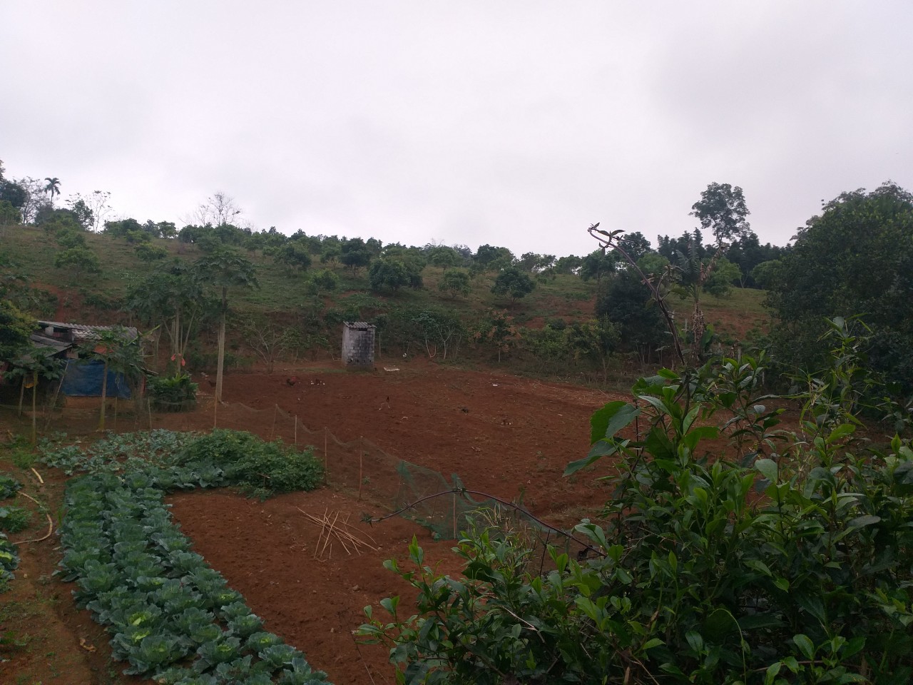 Chính Chủ Cần Bán lô Đất Vườn , Đất Thổ Cư tại Kim Bôi Hòa Bình - Tỉnh Hòa Bình . 11358777